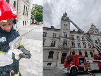 Pescăruş rănit, salvat de pompieri de pe acoperişul Palatului Administrativ din Suceava