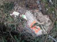 Control al Gărzii Forestiere în Poiana Stampei