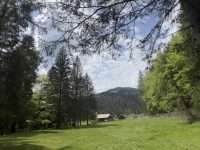 „Film sub Stele” – o nouă experienţă culturală în inima Bucovinei