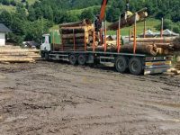 Materiale lemnoase fără provenienţă legală, descoperite la o instalaţie de debitare a lemnului din comuna Ostra