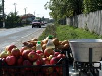 Creşte numărul de producători care oferă la vânzare legume şi fructe pe marginea drumurilor