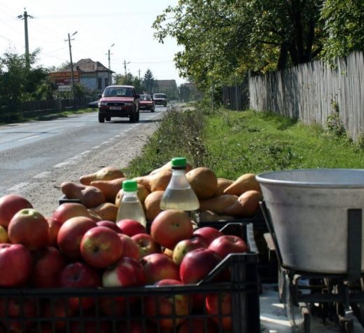 Creşte numărul de producători care oferă la vânzare legume şi fructe pe marginea drumurilor