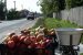 Creşte numărul de producători care oferă la vânzare legume şi fructe pe marginea drumurilor