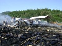 Incendiu violent la o fabrică de prelucrare a lemnului