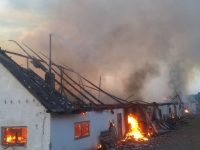 Incendiu devastator la o hală de animale din Drăguşeni