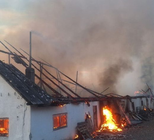 Incendiu devastator la o hală de animale din Drăguşeni