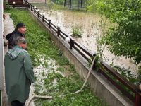 Ploile torenţiale au afectat mai multe localităţi din zona de munte a judeţului
