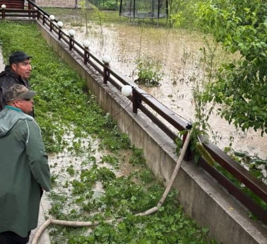 Ploile torenţiale au afectat mai multe localităţi din zona de munte a judeţului
