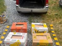 Contrabandă cu ţigări descoperită la Vatra Moldoviţei
