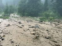 Pagube de 5 milioane de lei, generate de fenomenele meteorologice periculoase